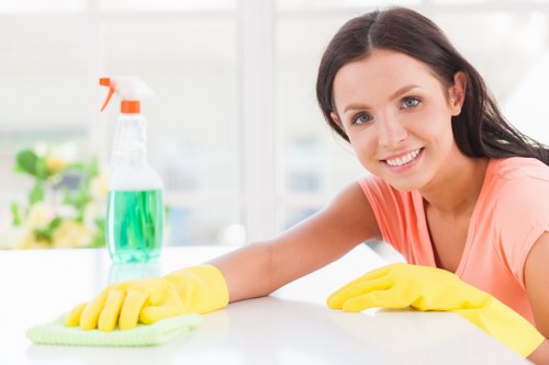 Professional upholstery cleaning in Finsbury Park living room sofa