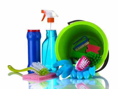 Professional steam carpet cleaning in a Finsbury Park home