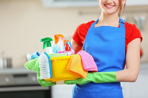 Curtain cleaning services in a Finsbury Park home
