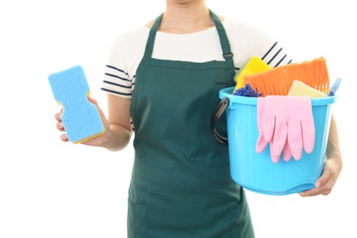 Steam cleaning helping reduce allergens in carpets