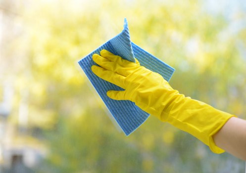 Professional sofa cleaning in a Finsbury Park living room