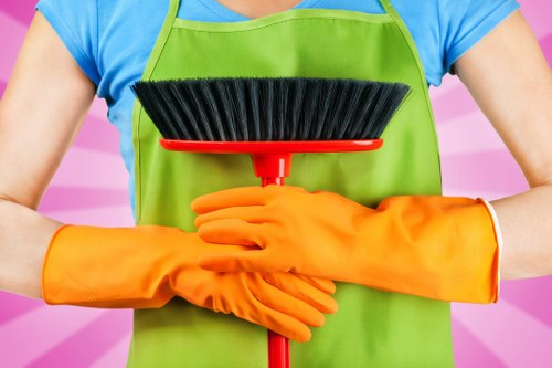 Deep cleaning equipment used for carpet care