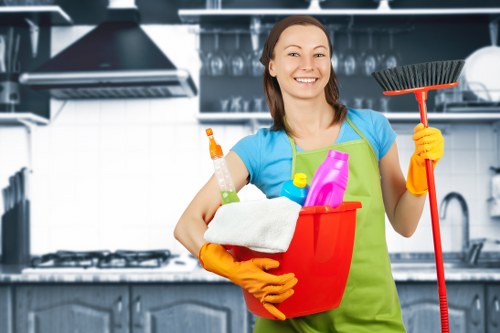 Professional cleaning equipment used for pet stain odour removal