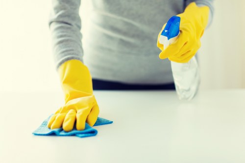 Detailed carpet care process for local Finsbury Park properties