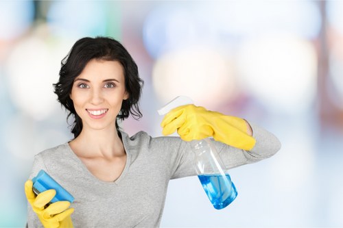 Professional carpet cleaning appointment with pre-treatment process