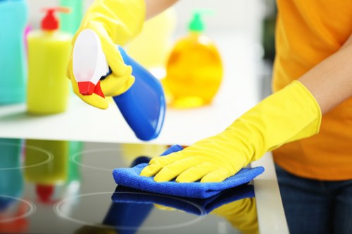 Stain removal and carpet care in Finsbury Park